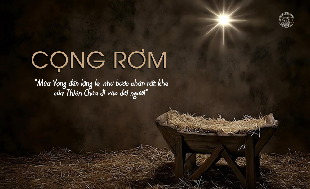 Cọng Rơm | Dòng Đức Maria Nữ Vương Hoà Bình
